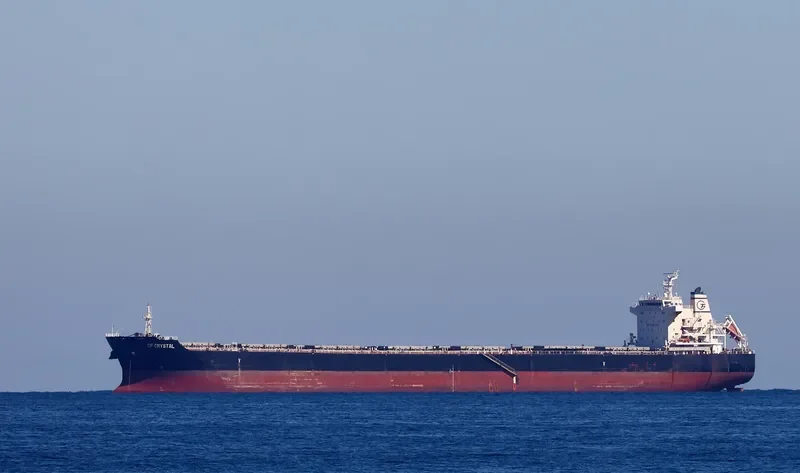 XING SHENG Bulk Carrier IMO 9497050 photo 5