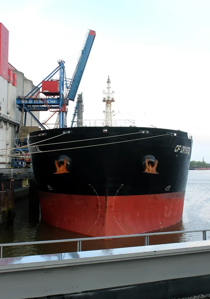 XING SHENG Bulk Carrier IMO 9497050 photo 6
