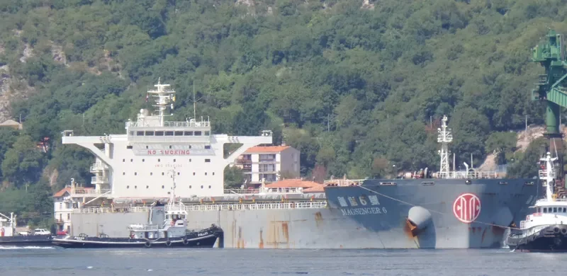 MAGSENGER 6 Bulk Carrier IMO 9497232 photo 5