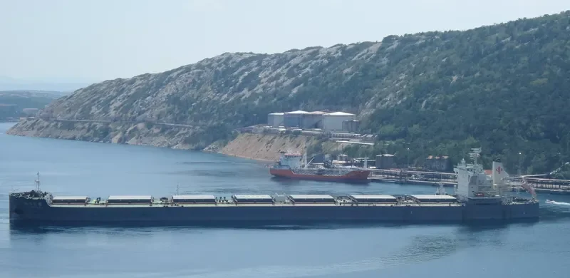 MAGSENGER 6 Bulk Carrier IMO 9497232 photo 8