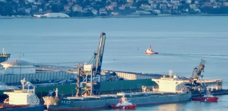 MAGSENGER 19 Bulk Carrier IMO 9497311 photo 5