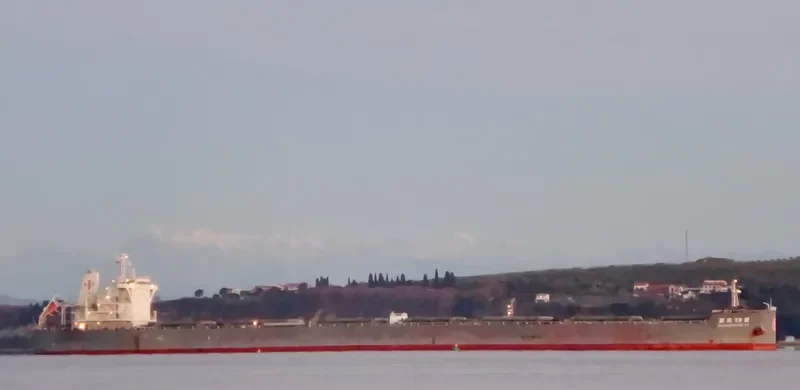 MAGSENGER 19 Bulk Carrier IMO 9497311 photo 6