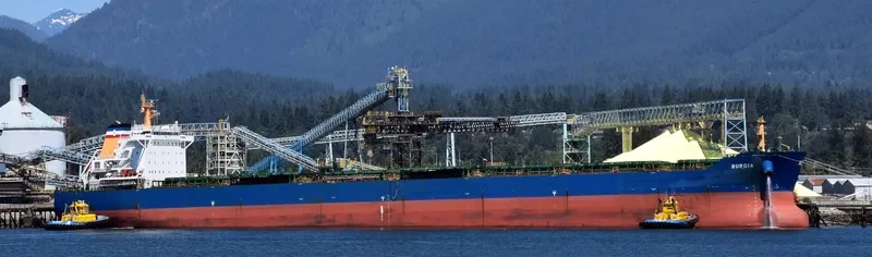 BONNEVILLE Bulk Carrier IMO 9497323 photo 11