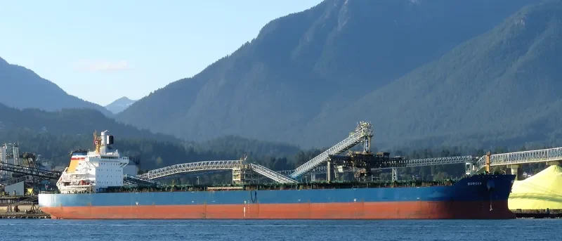 BONNEVILLE Bulk Carrier IMO 9497323 photo 24