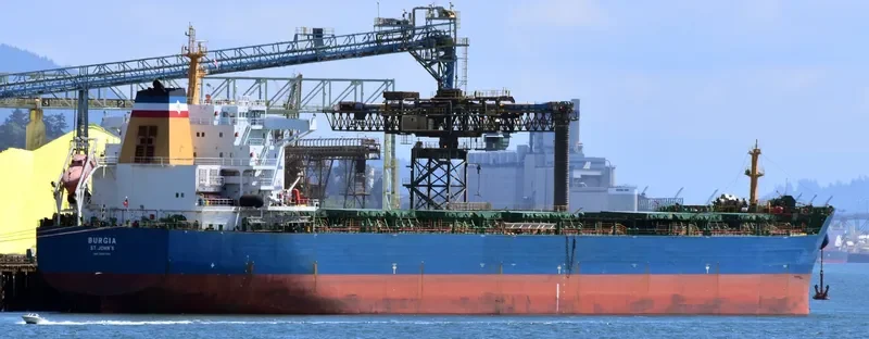 BONNEVILLE Bulk Carrier IMO 9497323 photo 26