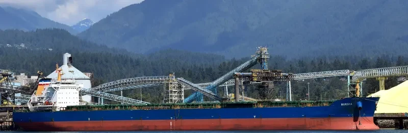BONNEVILLE Bulk Carrier IMO 9497323 photo 28