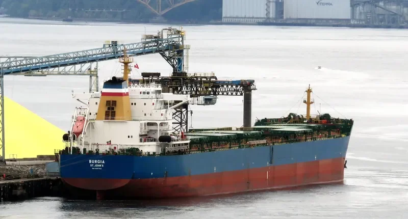 BONNEVILLE Bulk Carrier IMO 9497323 photo 30