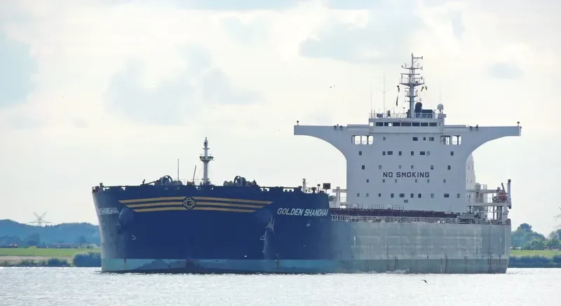 BULK NORWAY Bulk Carrier IMO 9497361 photo 7