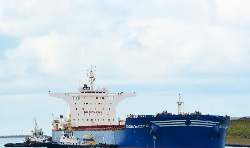 BULK NORWAY Bulk Carrier IMO 9497361 photo 10