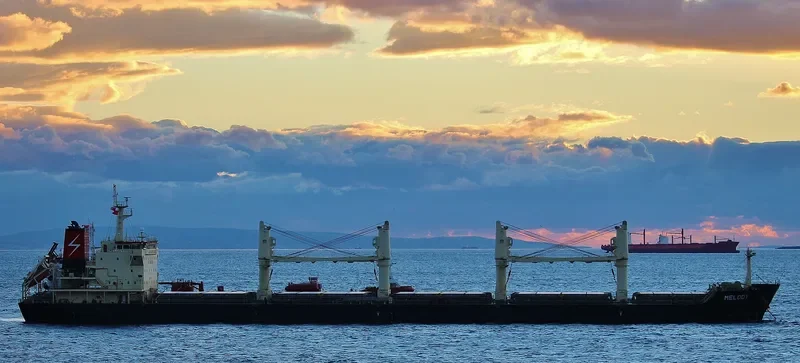 MELODY Bulk Carrier IMO 9497476 photo 4