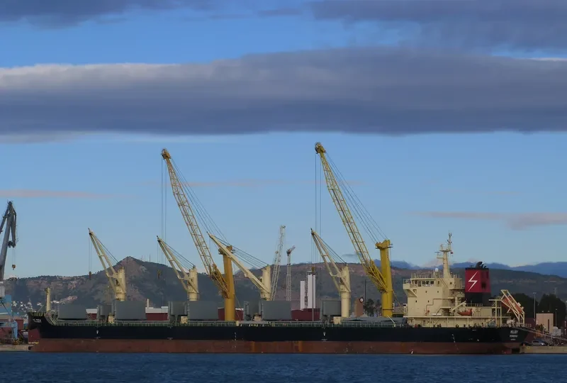MELODY Bulk Carrier IMO 9497476 photo 6