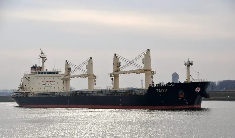FAITH Bulk Carrier IMO 9497529 photo 10