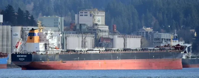NEW VENTURE Bulk Carrier IMO 9497622 photo 3