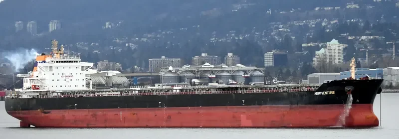 NEW VENTURE Bulk Carrier IMO 9497622 photo 5