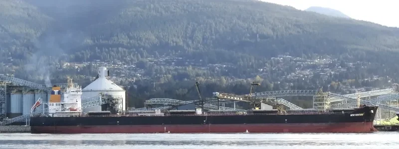 NEW VENTURE Bulk Carrier IMO 9497622 photo 9
