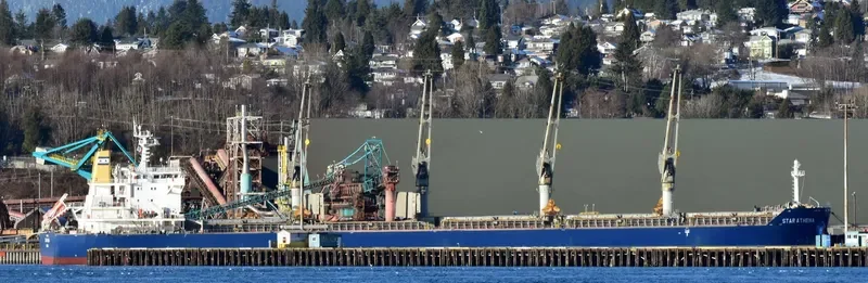 STAR ATHENA Bulk Carrier IMO 9497880 photo 4