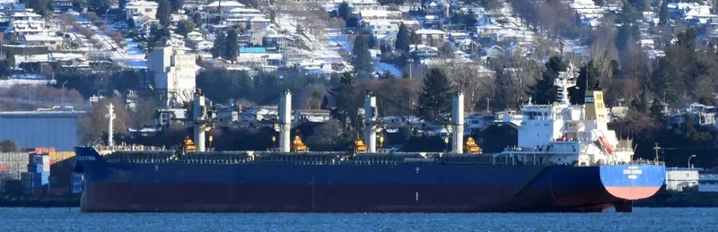 STAR ATHENA Bulk Carrier IMO 9497880 photo 5