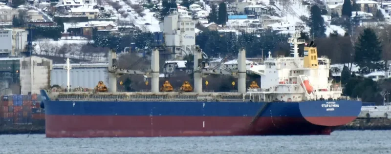 STAR ATHENA Bulk Carrier IMO 9497880 photo 6