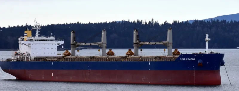 STAR ATHENA Bulk Carrier IMO 9497880 photo 7