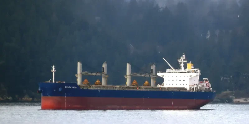 STAR ATHENA Bulk Carrier IMO 9497880 photo 8
