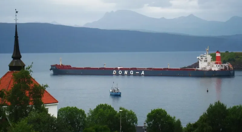 WINNING RICH Bulk Carrier IMO 9498054 photo 2