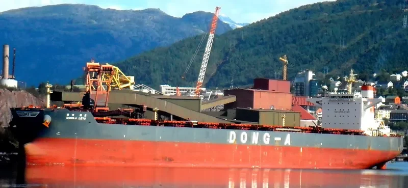 WINNING RICH Bulk Carrier IMO 9498054 photo 3