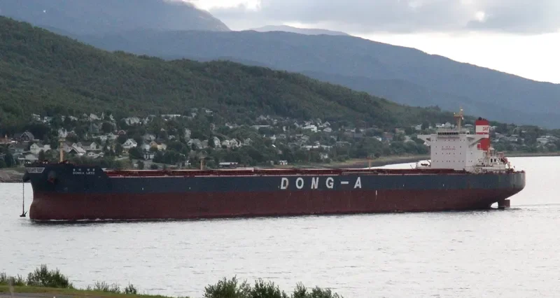 WINNING RICH Bulk Carrier IMO 9498054 photo 4