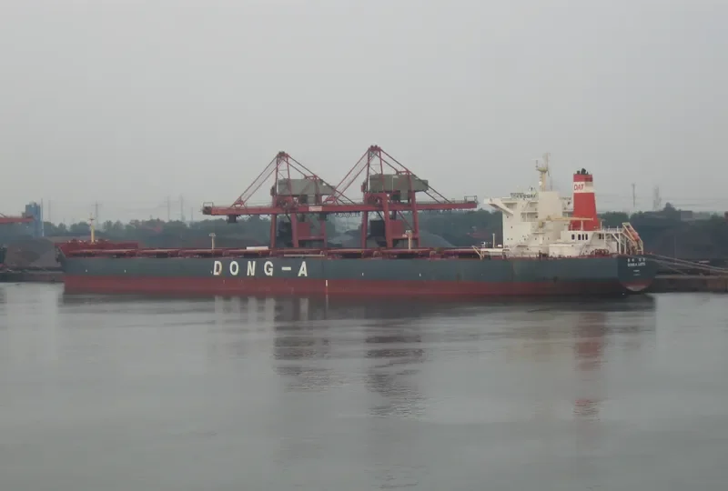 WINNING RICH Bulk Carrier IMO 9498054 photo 6