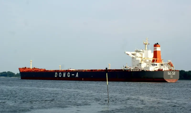 WINNING RICH Bulk Carrier IMO 9498054 photo 7