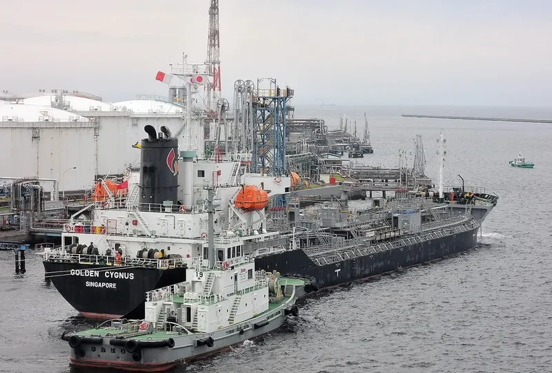 GOLDEN CYGNUS Tanker IMO 9498080 photo 5