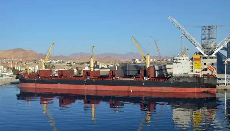 LYULIN Bulk Carrier IMO 9498248
