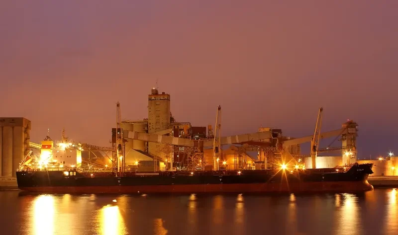 LYULIN Bulk Carrier IMO 9498248 photo 3