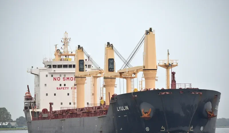 LYULIN Bulk Carrier IMO 9498248 photo 4
