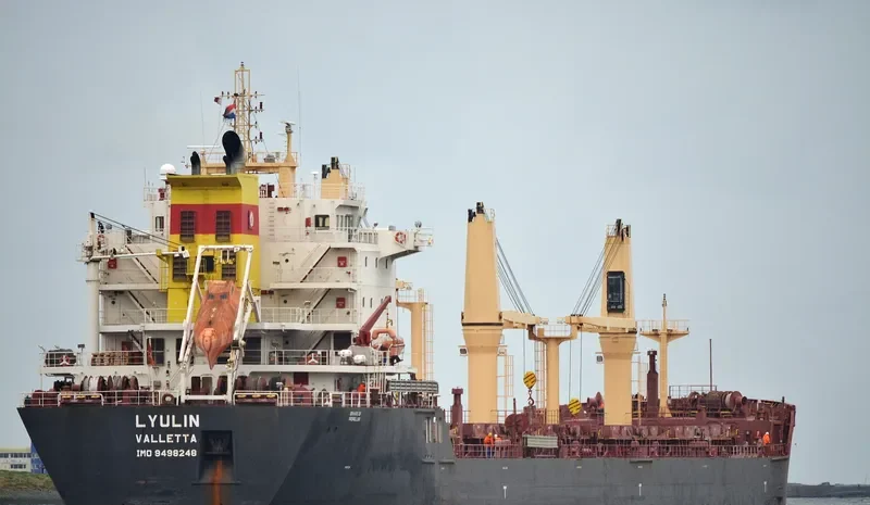 LYULIN Bulk Carrier IMO 9498248 photo 5
