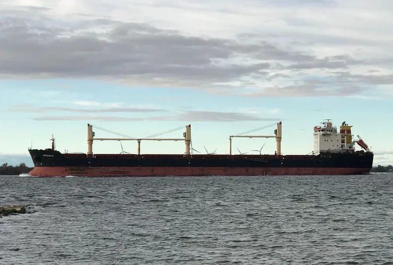OSOGOVO Bulk Carrier IMO 9498250