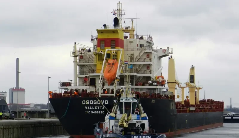 OSOGOVO Bulk Carrier IMO 9498250 photo 9