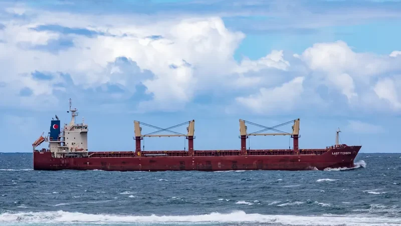 SEASTAR EXPLORER Bulk Carrier IMO 9498303 photo 4