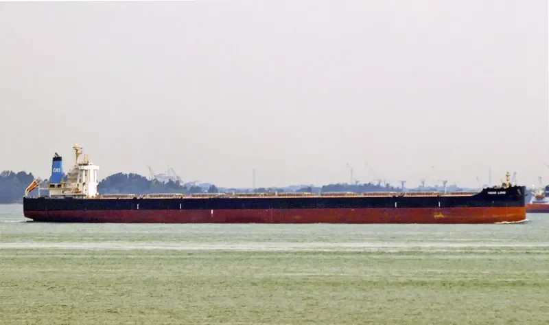 HENG LONG Bulk Carrier IMO 9498327 photo 3