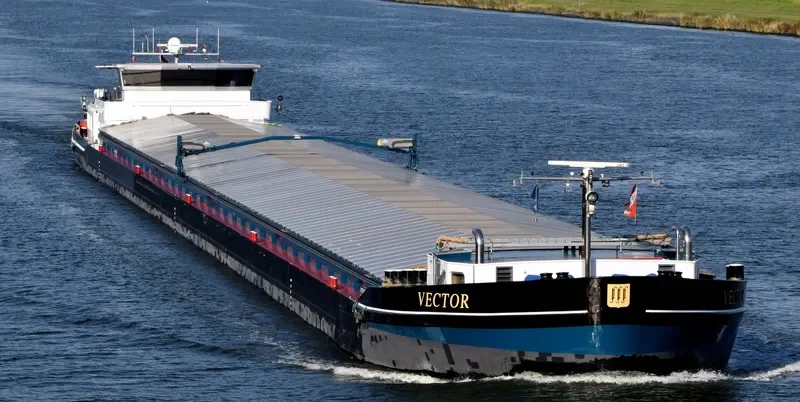 VECTOR General Cargo IMO 9498339