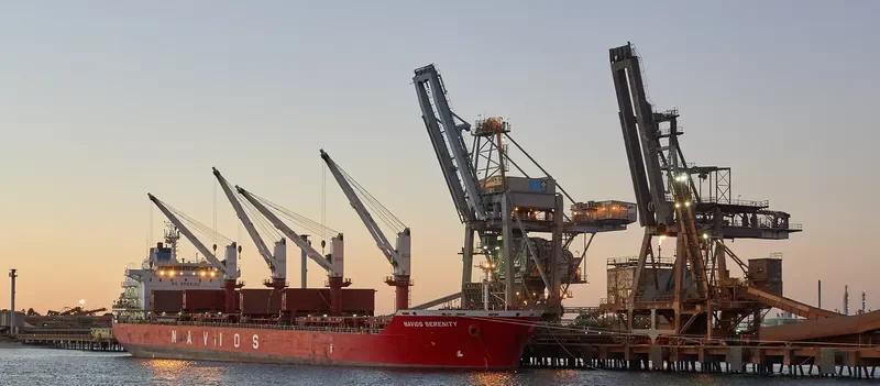 TINA S Bulk Carrier IMO 9498432