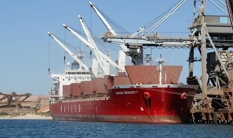 TINA S Bulk Carrier IMO 9498432 photo 2