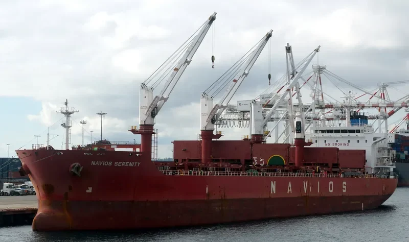 TINA S Bulk Carrier IMO 9498432 photo 3