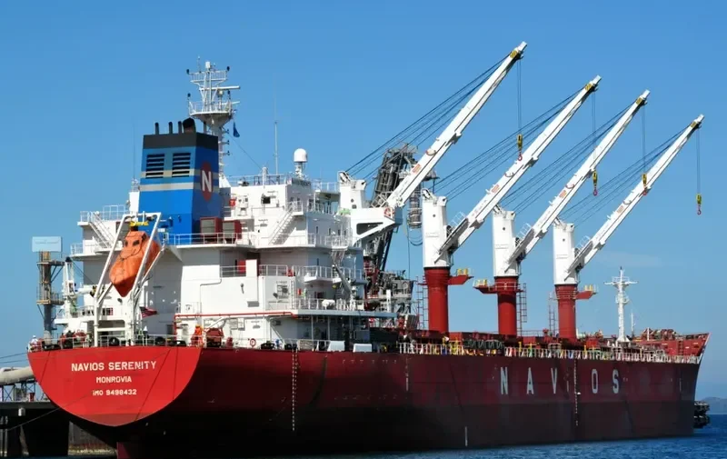 TINA S Bulk Carrier IMO 9498432 photo 9