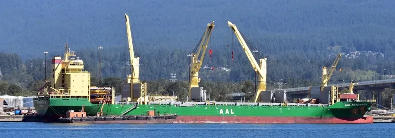 BAHRI DIRIYAH General Cargo IMO 9498482 photo 1319