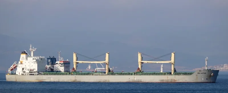 ALIKI FORCE Bulk Carrier IMO 9498559