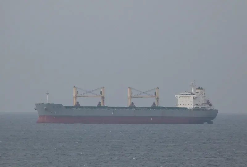 ALIKI FORCE Bulk Carrier IMO 9498559 photo 3