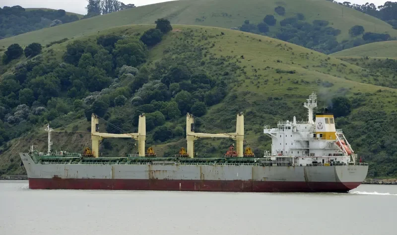 ALIKI FORCE Bulk Carrier IMO 9498559 photo 7
