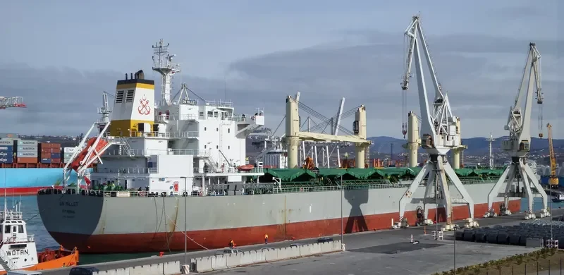 AMILLA Bulk Carrier IMO 9498561 photo 4