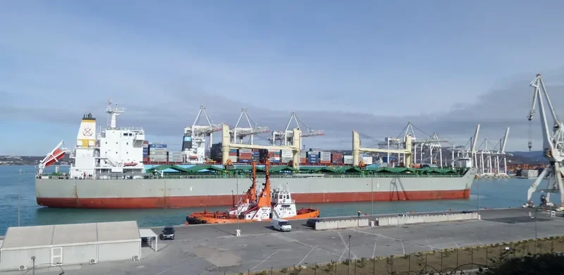 AMILLA Bulk Carrier IMO 9498561 photo 5
