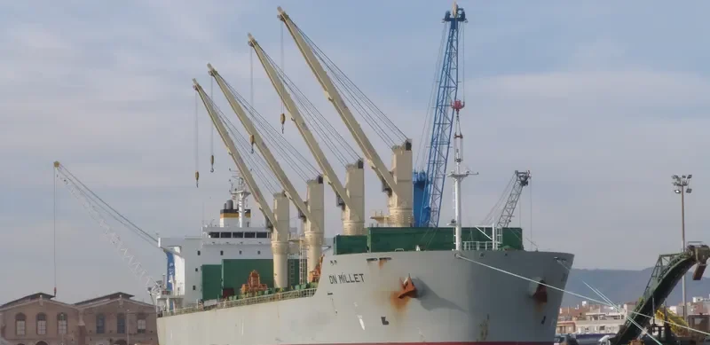 AMILLA Bulk Carrier IMO 9498561 photo 10